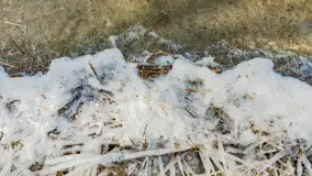 Południowy brzeg jeziora Negocin, lodowe formy, marzec 2023 - zdjęcie 25