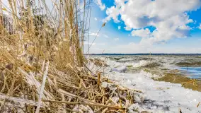 Południowy brzeg jeziora Negocin, lodowe formy, marzec 2023 - zdjęcie 27