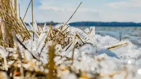 Południowy brzeg jeziora Negocin, lodowe formy, marzec 2023 - zdjęcie 13