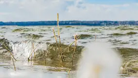 Przedwiośnie nad Niegocinem przy Kleszczewie Osada - zdjęcie 31