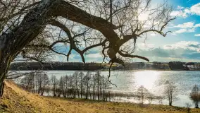 Grodzisko Św. Góra, jezioro Wojnowo, marzec 2023 r. - zdjęcie 10