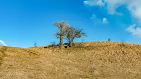 Grodzisko Św. Góra, jezioro Wojnowo, marzec 2023 r. - zdjęcie 15