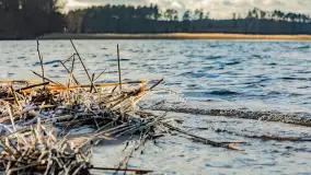 Jezioro Gołdopiwo na początku marca 2023 r. - zdjęcie 8