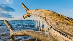 Jezioro Gołdopiwo na początku marca 2023 r. - zdjęcie 1