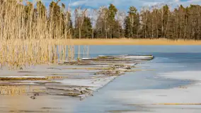 Wyspa Wydmińska i jezioro Wydmińskie, końcówka zimy 2023 r. - zdjęcie 18