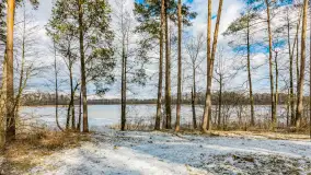 Wyspa Wydmińska i jezioro Wydmińskie, końcówka zimy 2023 r. - zdjęcie 6