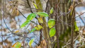 Wyspa Wydmińska i jezioro Wydmińskie, końcówka zimy 2023 r. - zdjęcie 35