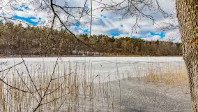 Wyspa Wydmińska i jezioro Wydmińskie, końcówka zimy 2023 r. - zdjęcie 13