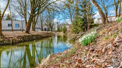 Poszukiwania wiosny w Węgorzewie, marzec 2023 r.