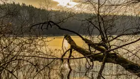 Wschód słońca nad jeziorem Tyrkło, marzec 2023 r. - zdjęcie 40