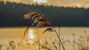 Wschód słońca nad jeziorem Tyrkło, marzec 2023 r. - zdjęcie 33