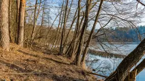 Wschód słońca nad jeziorem Tyrkło, marzec 2023 r. - zdjęcie 24