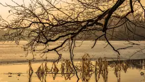 Wschód słońca nad jeziorem Tyrkło, marzec 2023 r. - zdjęcie 51