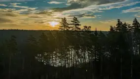 Wschód słońca nad jeziorem Tyrkło, marzec 2023 r. - zdjęcie 62