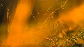 Zachód słońca, z innej perspektywy, marzec 2023 r. - zdjęcie 14