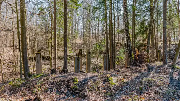 Wiosenny spacer po Mamerkach, marzec 2023 r. - zdjęcie 3