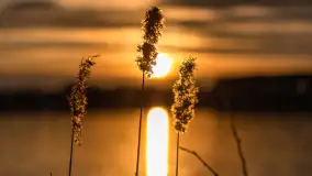 Wiosenny zachód słońca nad jeziorem Dejguny - zdjęcie 30