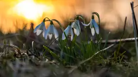 Wiosenny zachód słońca nad jeziorem Dejguny - zdjęcie 44