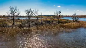 Wiosenne Mazury widziane z drona, końcówka marca 2023 r. - zdjęcie 4