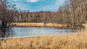 Węgorapa i kanał Węgorzewski pod koniec marca 2023 r. - zdjęcie 12