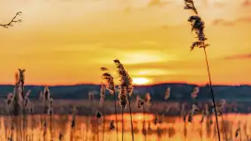 Zachód słońca nad jeziorem Dejguny, Lisi Ogon, kwiecień 2023 r. - zdjęcie 9