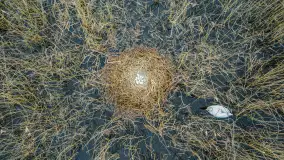 Zachód słońca nad jeziorem Dejguny, Lisi Ogon, kwiecień 2023 r. - zdjęcie 16