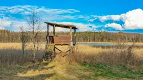 Wiosna i rozlewiska przy jeziorze Siercze niedaleko Gierłoży - zdjęcie 2