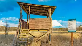 Wiosna i rozlewiska przy jeziorze Siercze niedaleko Gierłoży - zdjęcie 40