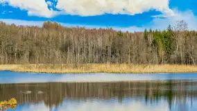 Wiosna i rozlewiska przy jeziorze Siercze niedaleko Gierłoży - zdjęcie 5