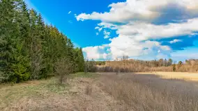 Wiosna i rozlewiska przy jeziorze Siercze niedaleko Gierłoży - zdjęcie 15