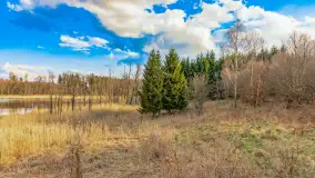 Wiosna i rozlewiska przy jeziorze Siercze niedaleko Gierłoży - zdjęcie 28