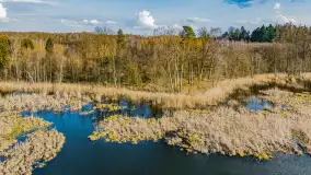 Wiosna i rozlewiska przy jeziorze Siercze niedaleko Gierłoży - zdjęcie 39
