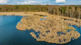 Wiosna i rozlewiska przy jeziorze Siercze niedaleko Gierłoży - zdjęcie 47