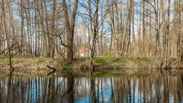 Kanał Mazurski, wiele ukrytych perełek - zdjęcie 11