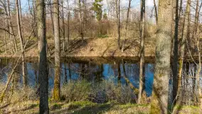 Kanał Mazurski, wiele ukrytych perełek - zdjęcie 53