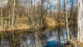 Kanał Mazurski, wiele ukrytych perełek - zdjęcie 62