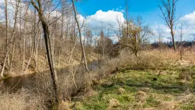 Kanał Mazurski, wiele ukrytych perełek - zdjęcie 64