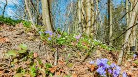 Wiosna już jest, taka prawdziwa, zielona i ciepła - zdjęcie 37