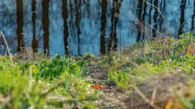 Wiosna już jest, taka prawdziwa, zielona i ciepła - zdjęcie 42