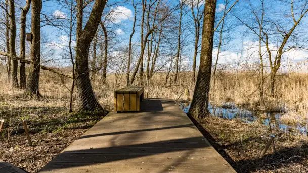 Plaża i ścieżka edukacyjna w Czernikach, jezioro Mój - zdjęcie 10