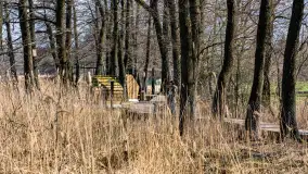 Plaża i ścieżka edukacyjna w Czernikach, jezioro Mój - zdjęcie 30