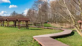 Plaża i ścieżka edukacyjna w Czernikach, jezioro Mój - zdjęcie 29