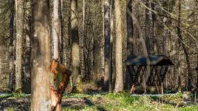 Foto spacer po lesie miejskim w Giżycku, kwiecień 2023 r. - zdjęcie 26