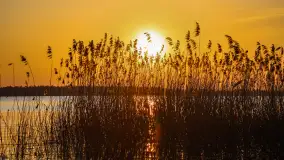 Zachód słońca w Pierkunowie, jezioro Kisajno, kwiecień 2023 r. - zdjęcie 10