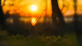 Zachód słońca w Pierkunowie, jezioro Kisajno, kwiecień 2023 r. - zdjęcie 24