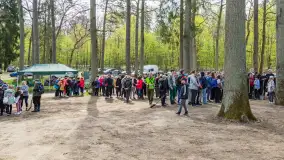 Przy Wilczym Szańcu posadzono 5000 dębów - zdjęcie 31