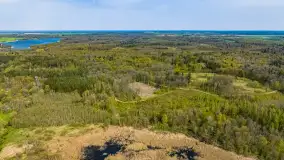 Przy Wilczym Szańcu posadzono 5000 dębów - zdjęcie 25