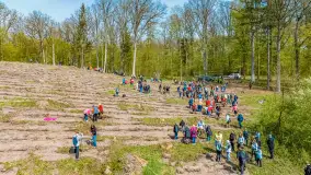 Przy Wilczym Szańcu posadzono 5000 dębów - zdjęcie 49