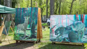 Przy Wilczym Szańcu posadzono 5000 dębów - zdjęcie 53