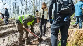 Przy Wilczym Szańcu posadzono 5000 dębów - zdjęcie 72